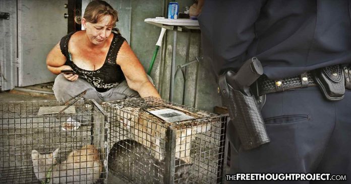 woman-charges-rescuing-696x366