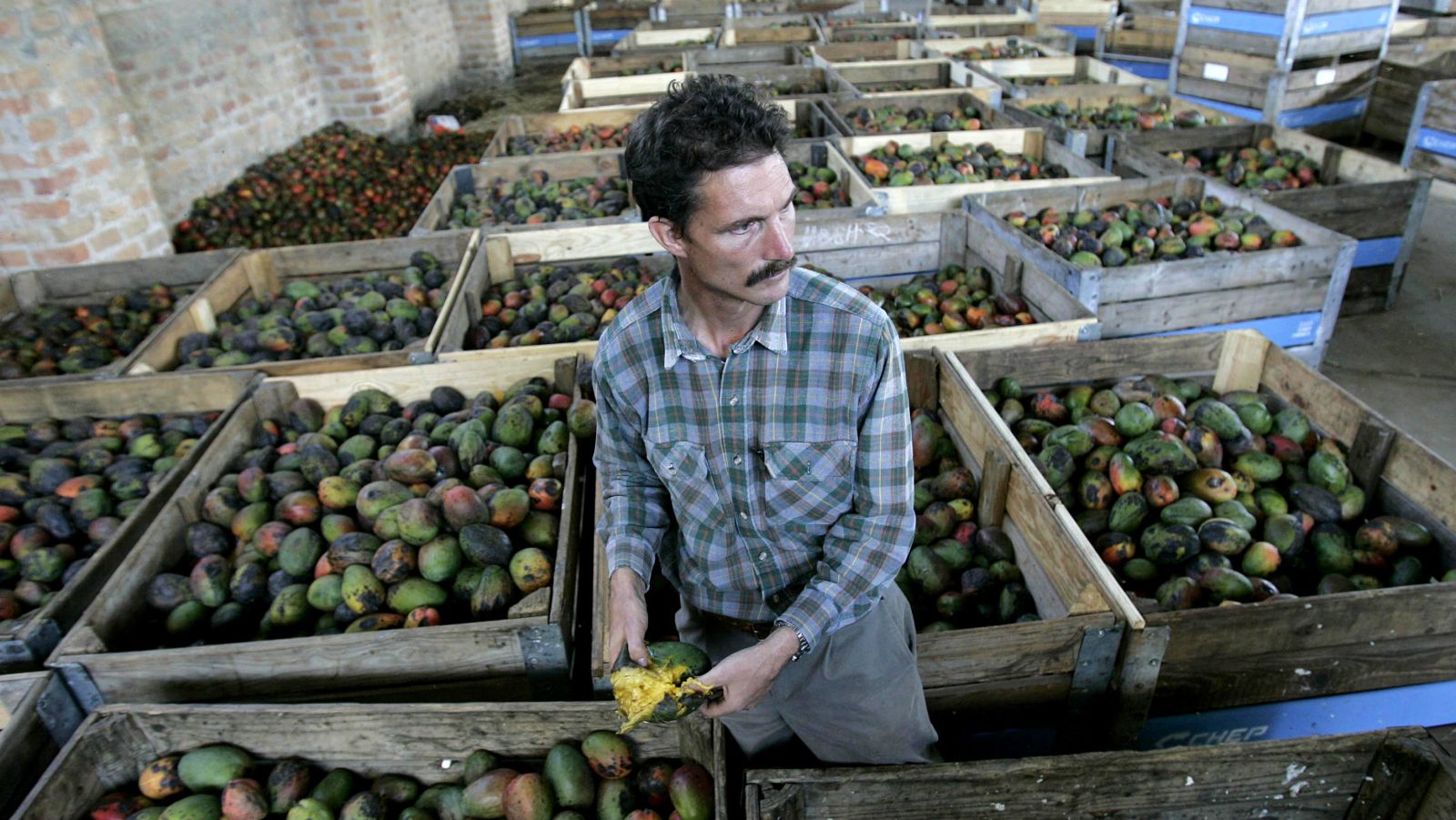 zimbabwe-farmer