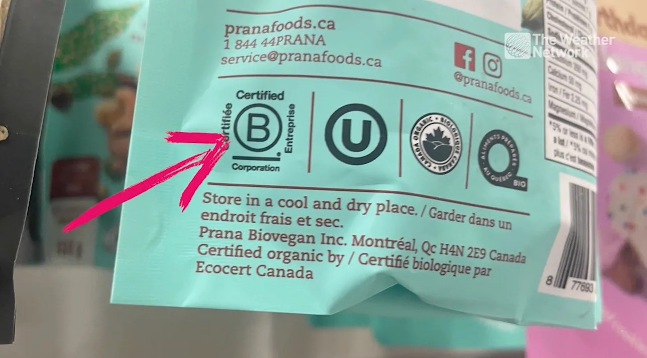 Proteted B Example What you need to know about this letter ‘B’ on products – International ...